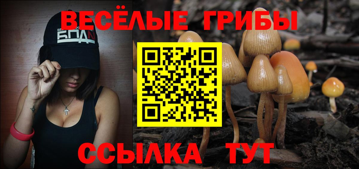Псилоцибиновые грибы Cubensis  Вход с VPN  Псилоцибиновые грибы мицелий  Севастополь 